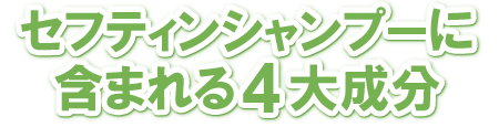 4大成分について